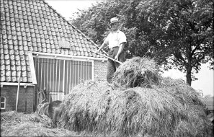 1937-14 Goze Burghgraef 2 keer 02