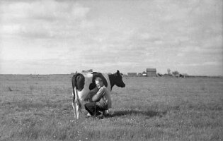 1944-04 Dirk Br. - melken 02