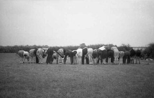 1944-04 Poelgroep bij Brekken 03